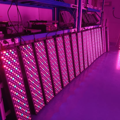 1000W Red Light Therapy With Stand